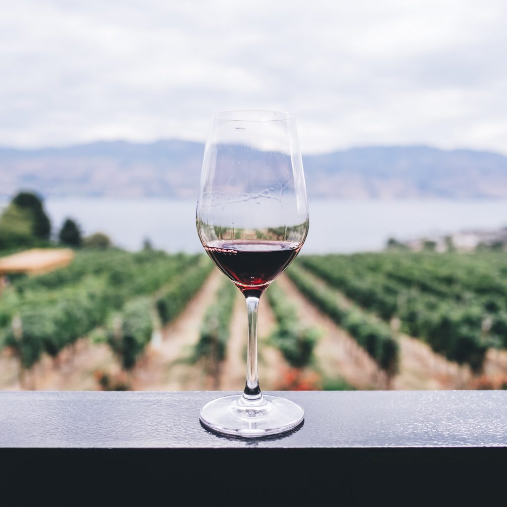 A glass of red wine in the background of vineyards and a lake with mountains, another reason why you should visit Bulgaria