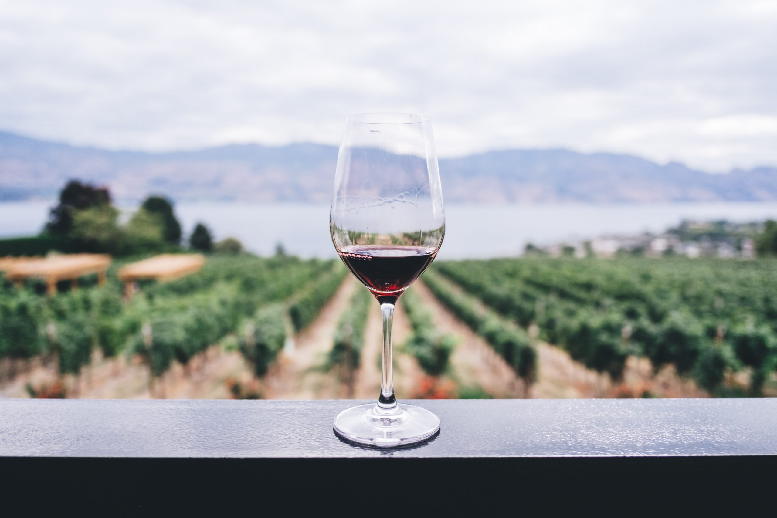 A glass of red wine in the background of vineyards and a lake with mountains, another reason why you should visit Bulgaria