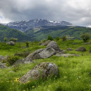 Vitosha Mountain, Bulgaria